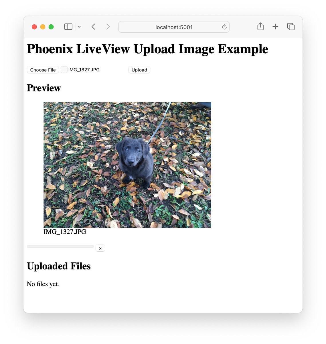 Mix.install example for LiveView image upload: github.com/wojtekmach/mix…