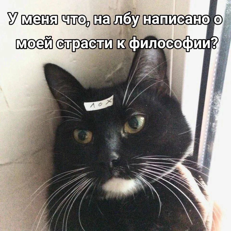 Гераклитор (@geraklitorok) on Twitter photo 