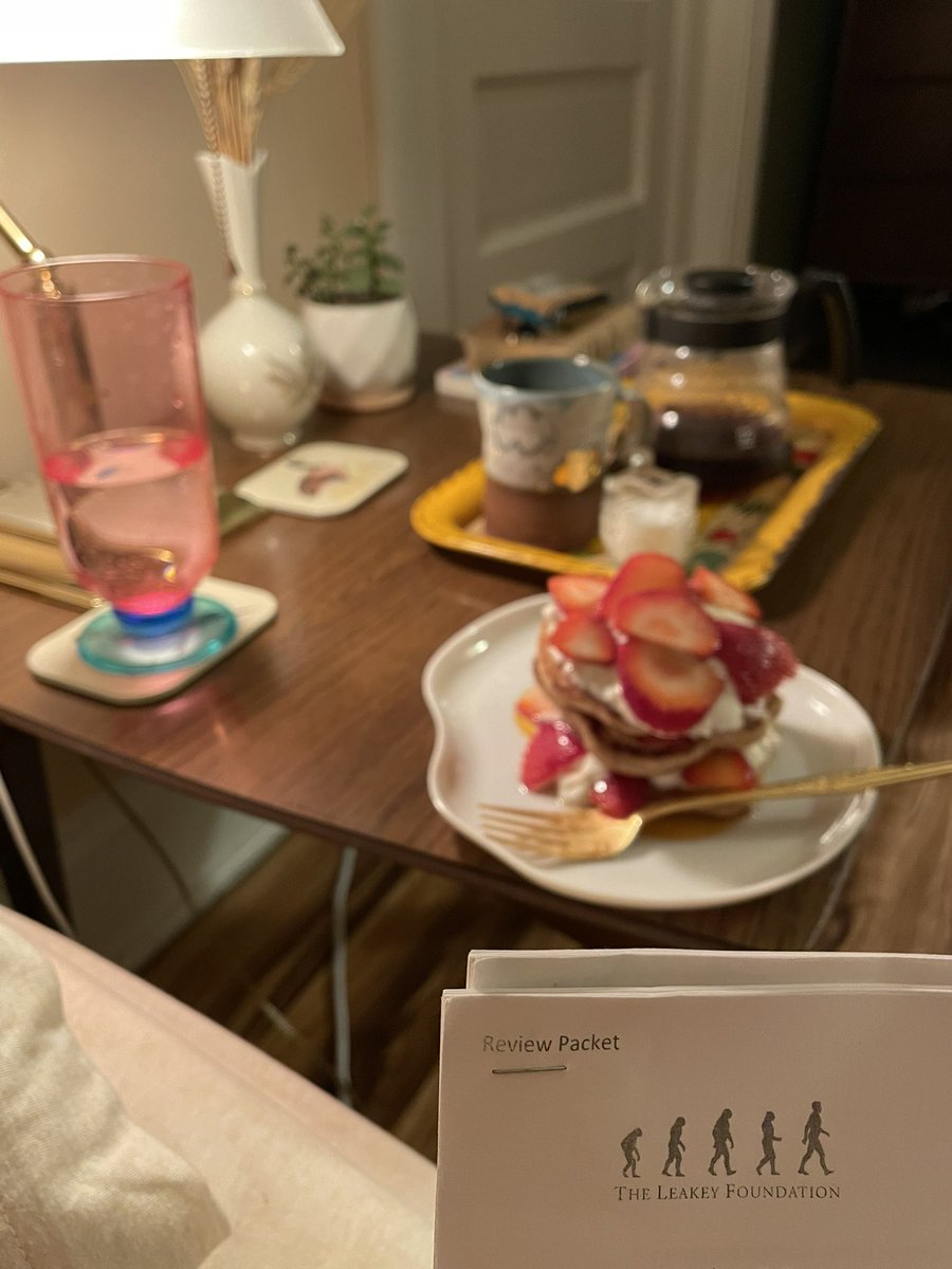 Pre-dawn grant review feat. pancakes and strong coffee. #postdoc