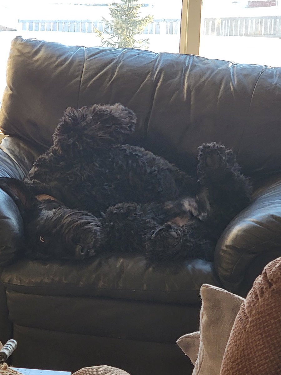 mrhattrick's tweet photo. @bunsenbernerbmd #NationalGoofOffDay it's been a busy day https://t.co/ooqQ41hYf0