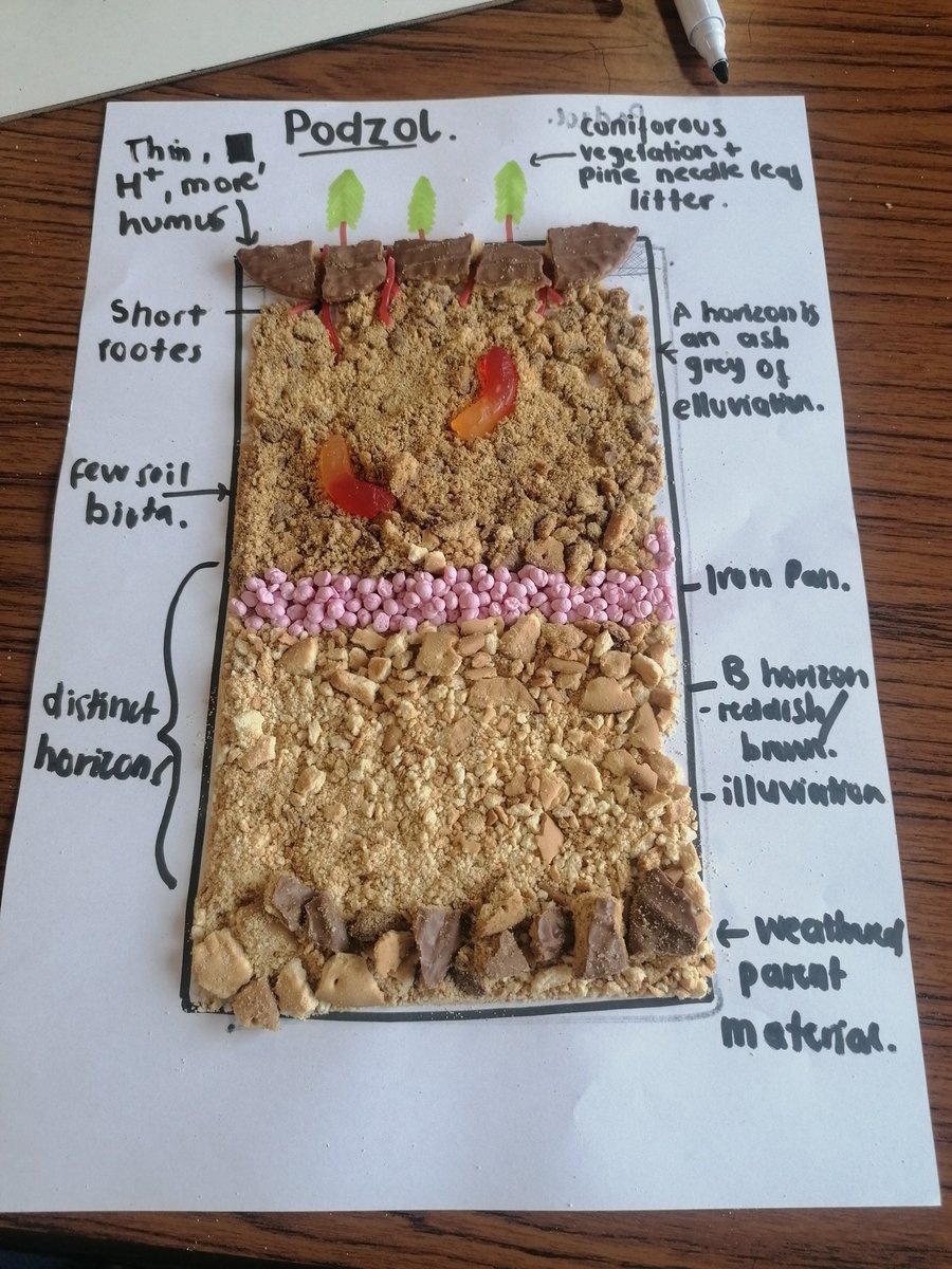 MrsPatersonGeo's tweet photo. Amazing work from the Higher E class this morning, really impressed with their attention to detail! https://t.co/0KETI0BbuC