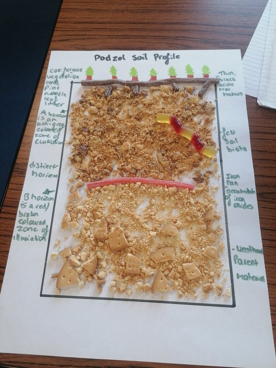 MrsPatersonGeo's tweet photo. Amazing work from the Higher E class this morning, really impressed with their attention to detail! https://t.co/0KETI0BbuC