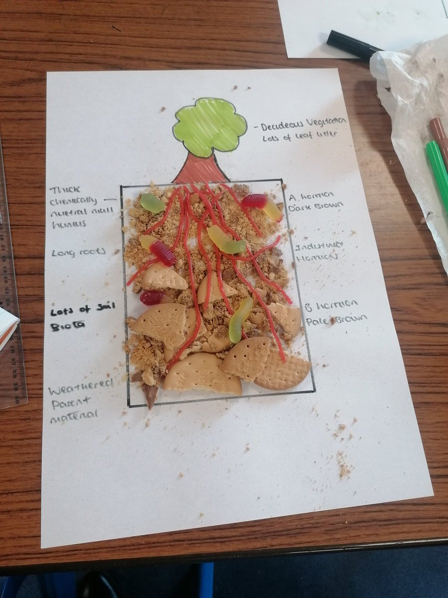 MrsPatersonGeo's tweet photo. Amazing work from the Higher E class this morning, really impressed with their attention to detail! https://t.co/0KETI0BbuC