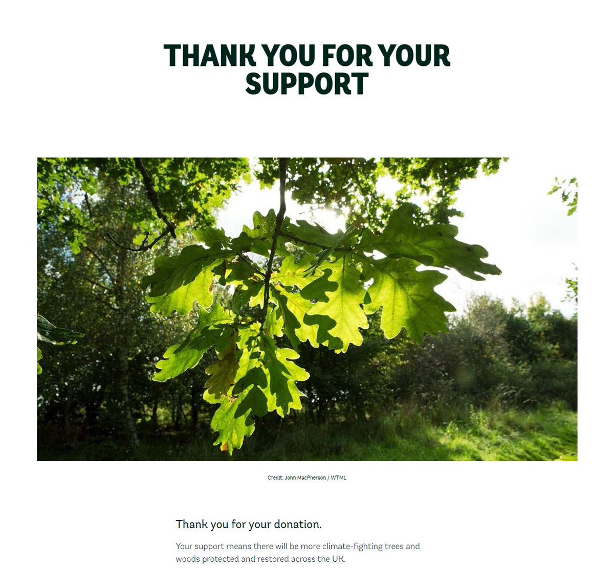 As we're approaching year end, I've just renewed my sustainability statement (margeainsley.co.uk/a-new-approach…), and made a £90 donation to @WoodlandTrust. Thanks to all my clients who paid my 'green levy' (which I match) and share my commitment to addressing the climate emergency.