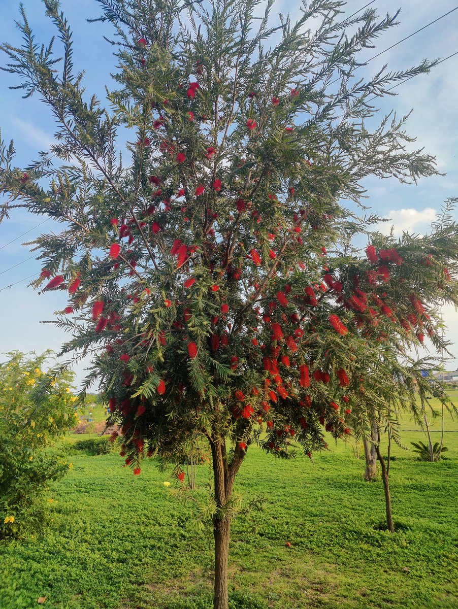 kaleem ahmad🇵🇰 tweet media