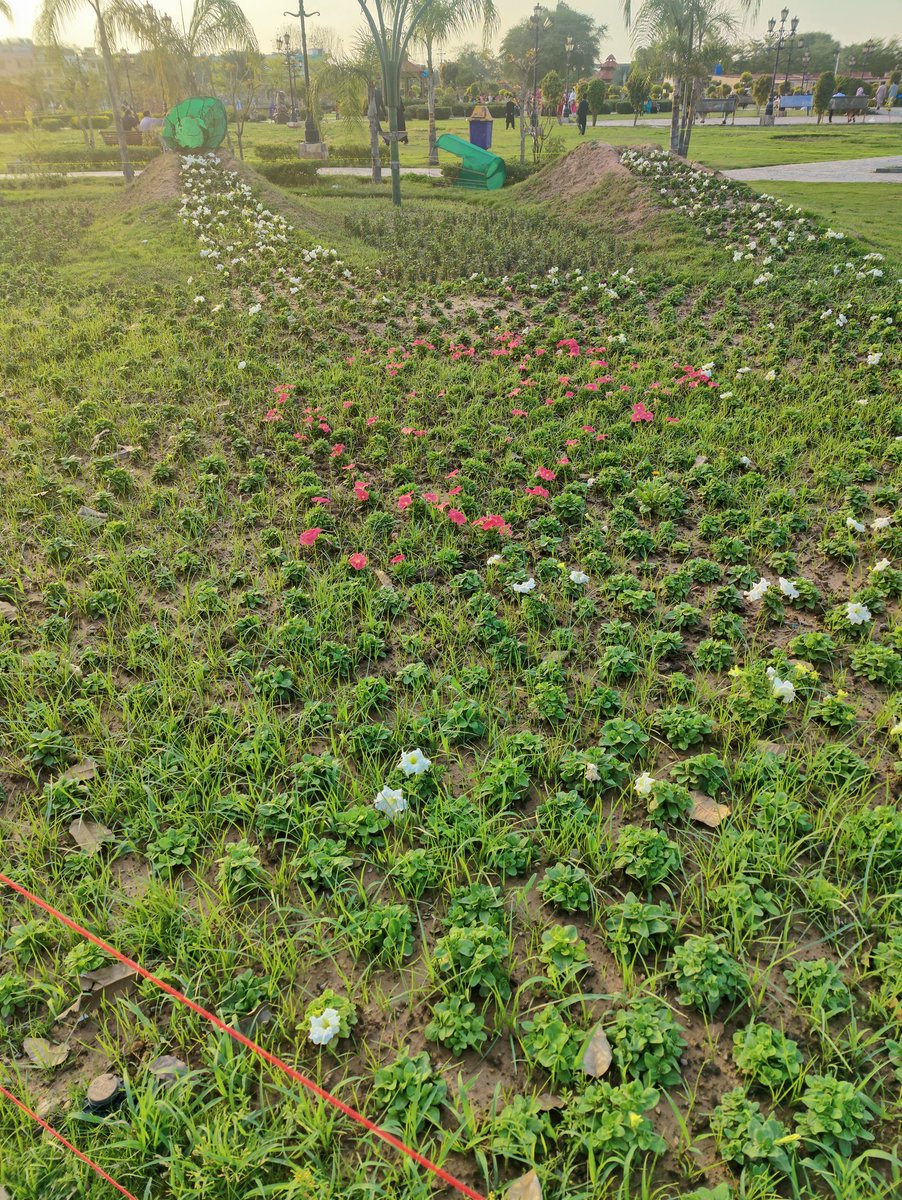 kaleem ahmad🇵🇰 tweet media