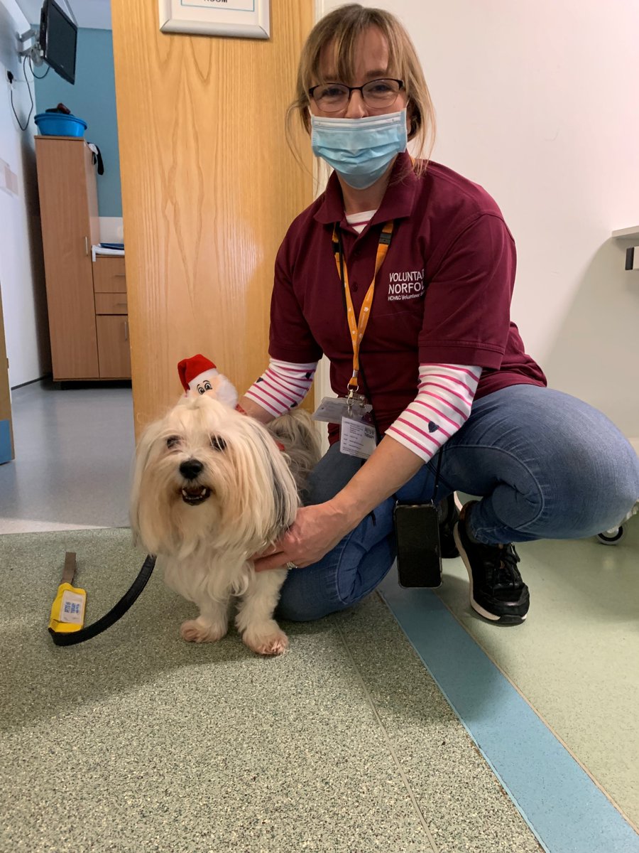 eec_vols's tweet photo. On #NationalPuppyDay we want to sat a big Thank You to all of our PAT Dog #Volunteers Here is the lovely Barnaby 💕🐾. If you have any photos of you and your PAT Dog, then please send them in @NCHC_NHS @PetsAsTherapyUK @vol_norfolk https://t.co/jNPcBkOqeY