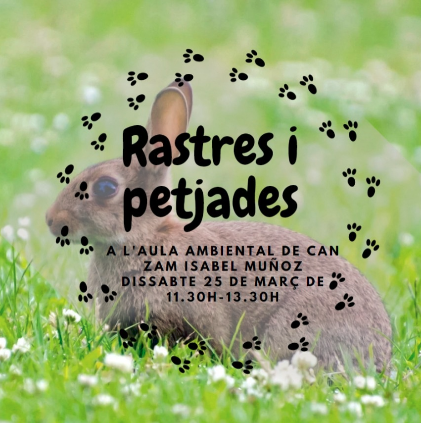 scgramenet's tweet photo. Torna el programa d'activitats mediambientals 
Aquest dissabte (11.30 a 13.30 h) «Rastres i Petjades» a l’Aula Ambiental Isabel Muñoz de Can Zam, i diumenge (10 a 14 h) anellament científic a @ecometropoli 
Inscripcions a ecometropoli@gramenet.cat
#mediambient #santacoloma https://t.co/GvHuUkoKjU