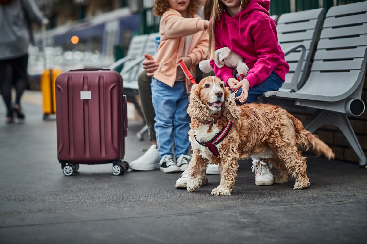 Without a slogan since 1999. tweet media