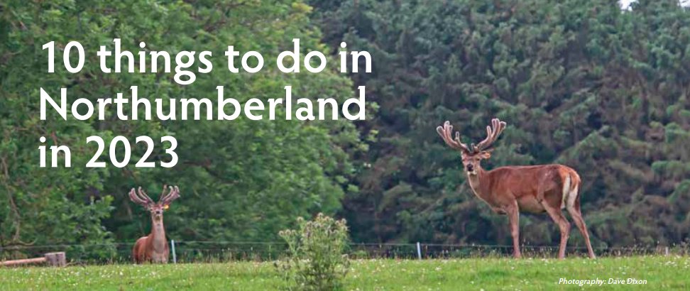 Mortal Fools tweet media