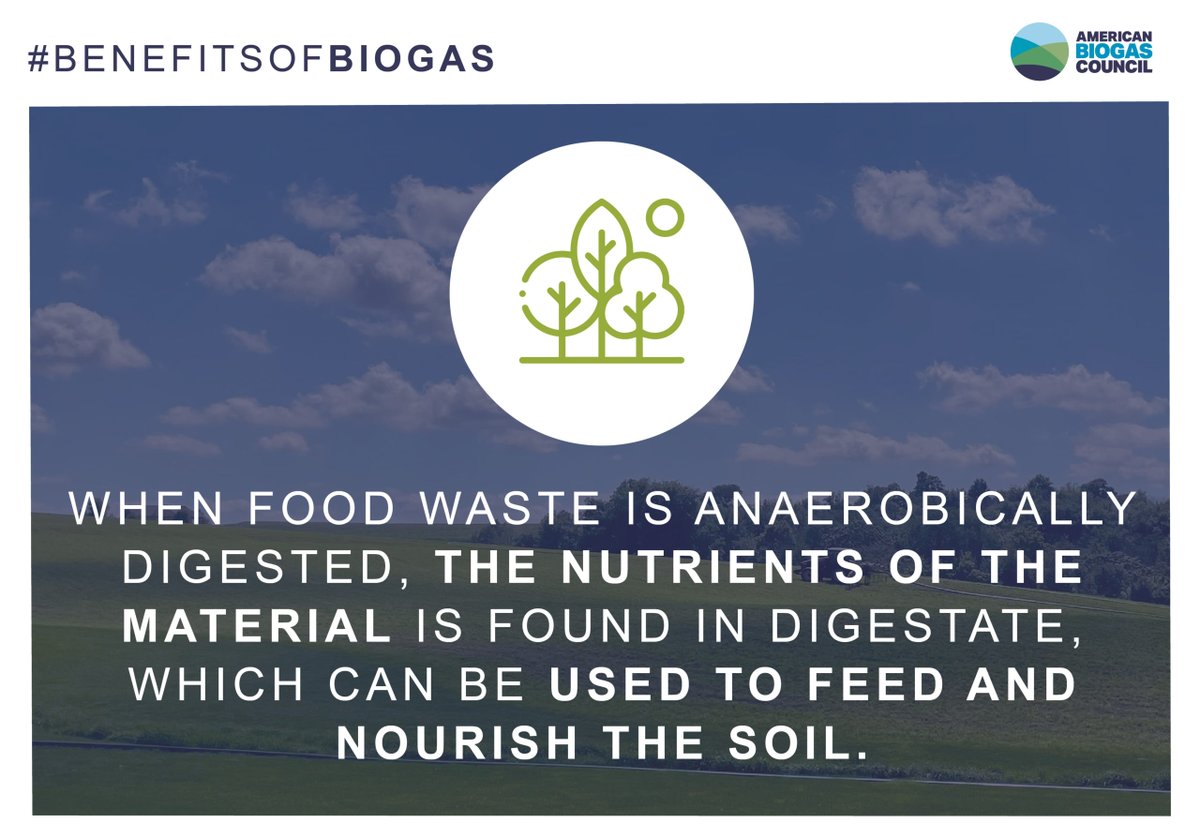 Wasting food in turn wastes valuable nutrients in our ecosystem. When food waste is anaerobically digested, the nutrients in the material get recycled, nourishing the soil and boosting crop yields. #BenefitsOfBiogas #SoilHealth #FoodWaste #Biogas #Digestate @ambiogascouncil