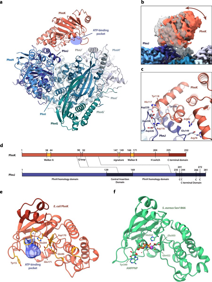 Nature Communications tweet media