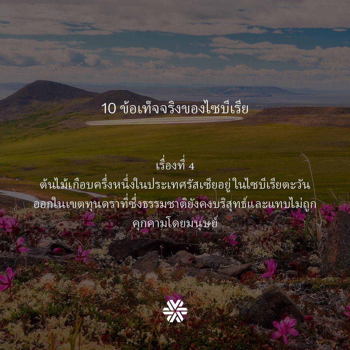 SibwellnessThai's tweet photo. ❄️ #4thFact ❄️ ต้นไม้เกือบครึ่งหนึ่งของประเทศรัสเซีย อยู่ในไซบีเรียฝั่งตะวันออกในเขตทุนดรา สถานที่ซึ่งธรรมชาติยังคงความบริสุทธิ์ และแทบไม่ถูกคุมคามโดยมนุษย์นั่นเองค่ะ
#10FactsAboutSiberia #SiberianWellness #SiberianWellnessThailand #GoodToKnow #GetToKnow #Tundra #Siberia #Natural https://t.co/MNcguvaTLK