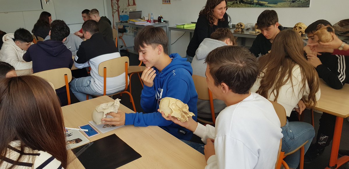 yemax1980's tweet photo. L'alumnat de 4t de Biologia i Geologia @InsThos  estan a l'Institut Català de paleontologia de Sabadell. https://t.co/xDXVV1hKZA