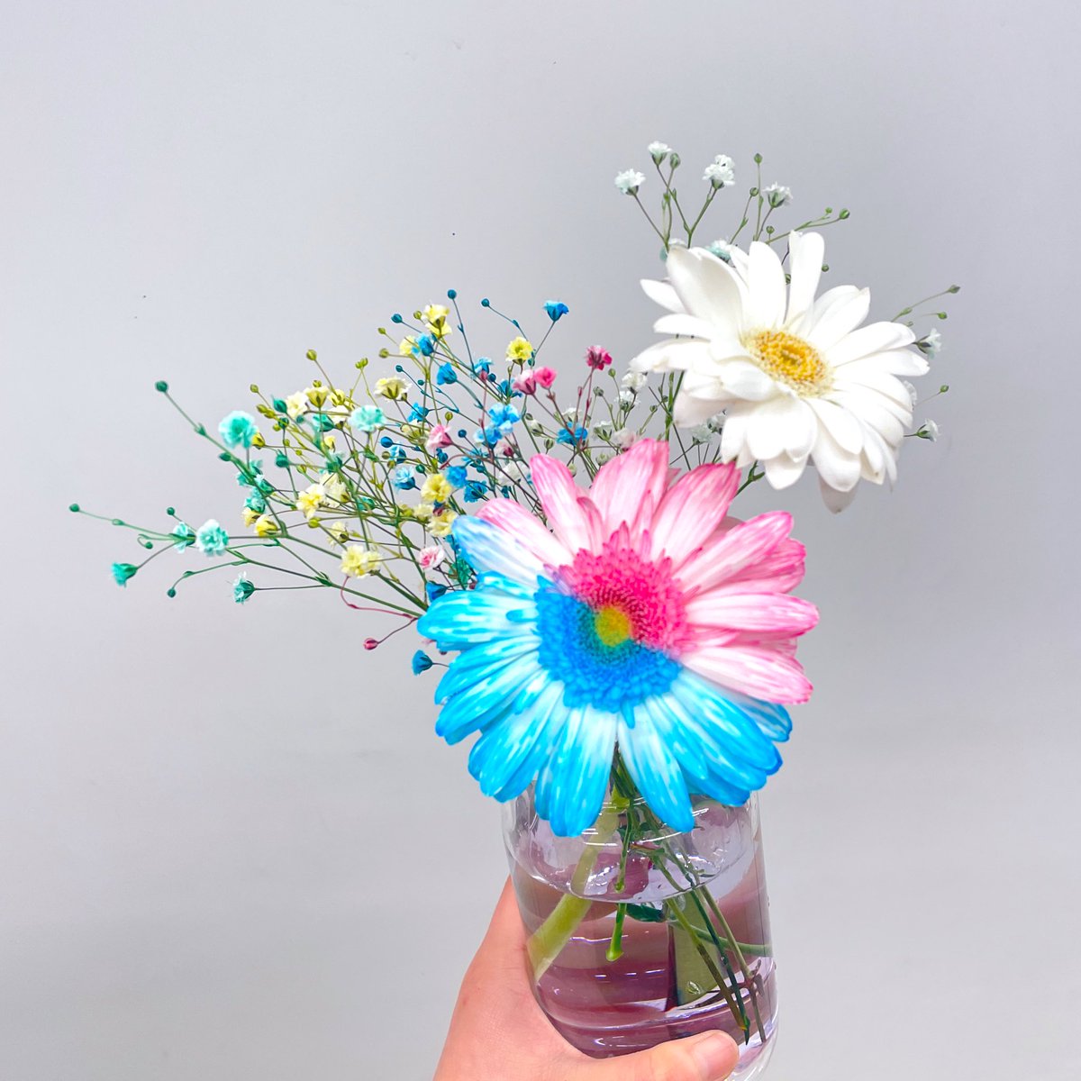 お花の染色実験！
思ったより綺麗に染まりました