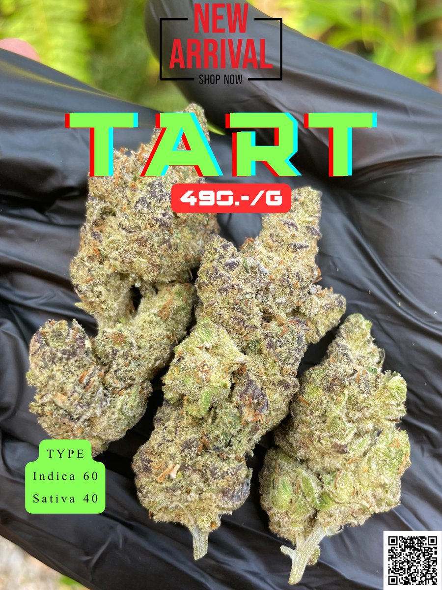 whowantsomeweed's tweet photo. ผมนี้อย่างชอบเลย… เจ้า Tart
ฉุนรุนแรง สำหรับคนซาดิสอย่างเรา 🫁🤯
⚡️490.-/g⚡️
💖Delivery พัทยา/GRAB/LINE MAN/จัดส่งไปรษณีย์ทั่วประเทศ💖 #กัญชาพัทยา #Pattaya #pattayawalkingstreet #pattayaweed #PattayaThailand #pattayacannabis #weedinpattaya #พัทยา #พัทยาใต้ #พัทยากลาง #พัทยาเหนือ https://t.co/cG0CJwH8us