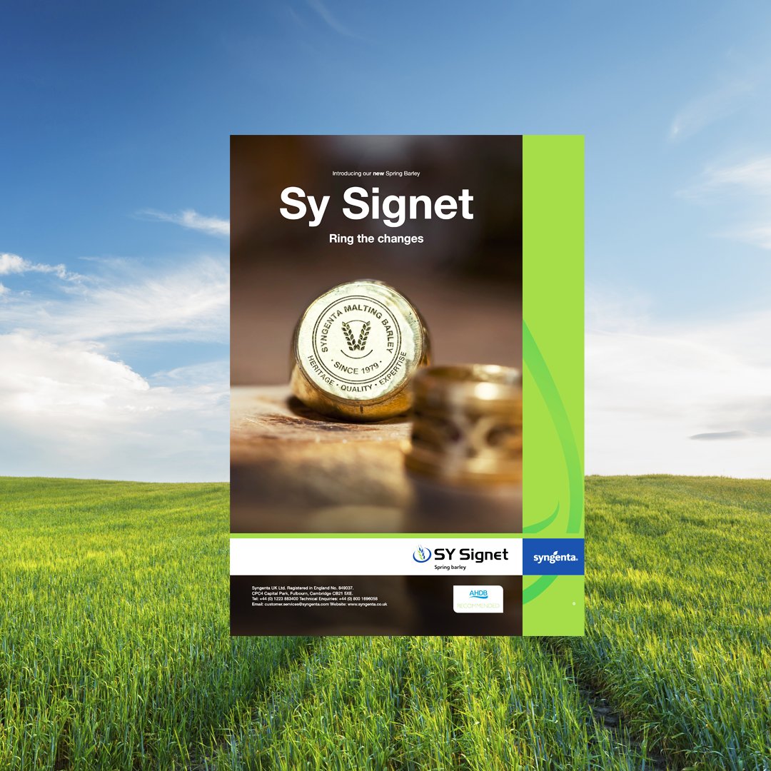 SyngentaUK's tweet image. Our ✨NEW✨ spring barley variety #SYSignet joined the AHDB Recommended List last autumn and is currently under test for brewing. SY Signet offers high yields &amp;amp; a robust agronomic package combined with solid grain quality. Read more here 👉syngenta.co.uk/sy-signet 
#springbarley