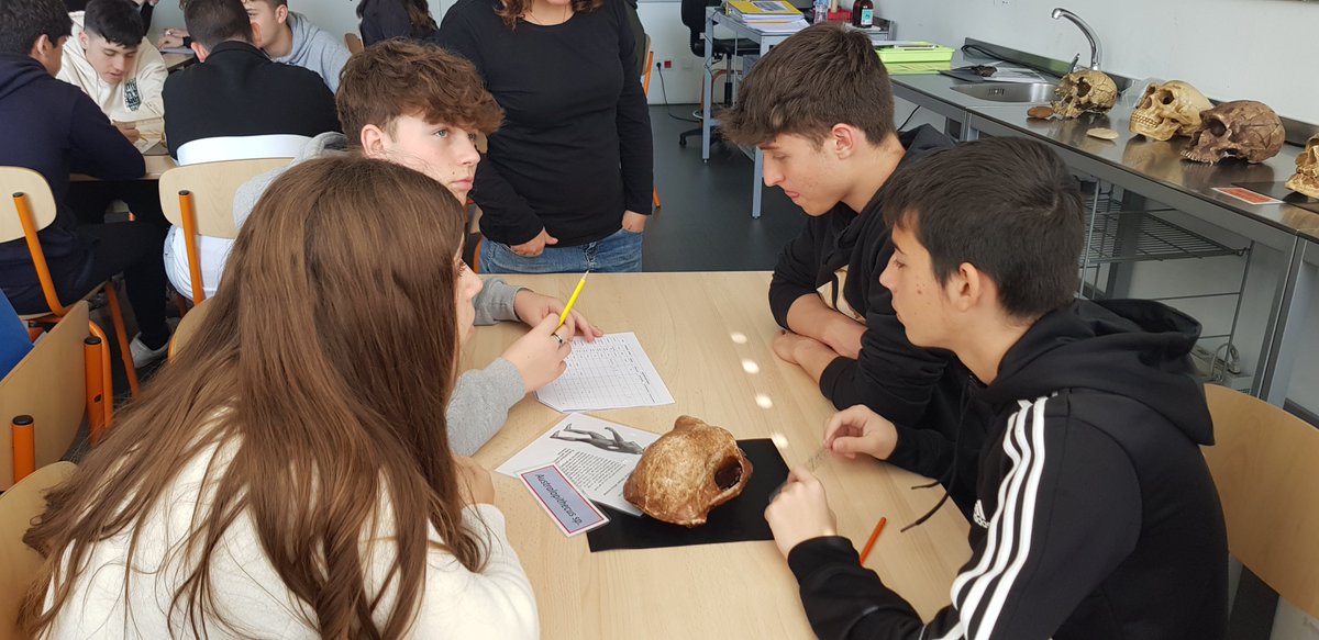 yemax1980's tweet photo. L'alumnat de 4t de Biologia i Geologia @InsThos  estan a l'Institut Català de paleontologia de Sabadell. https://t.co/xDXVV1hKZA