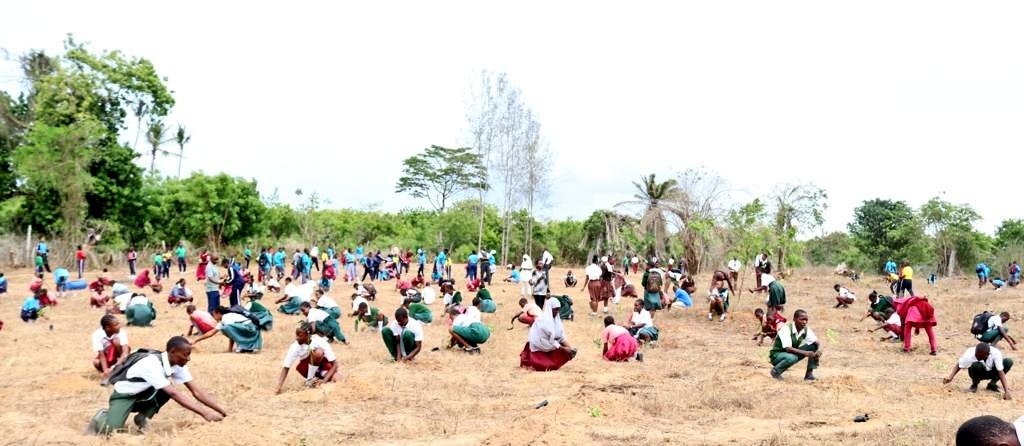EnviClimateC_Ke's tweet photo. 15Billion Trees #Jazamiti #KuzaMiti #TunzaMiti #WorldMeteorologicalDay #WeatherClimateWater https://t.co/PPUovBfj5c