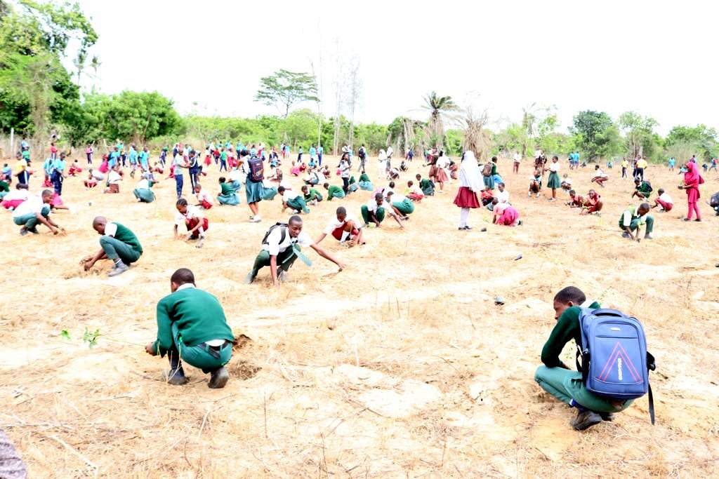 EnviClimateC_Ke's tweet photo. 15Billion Trees #Jazamiti #KuzaMiti #TunzaMiti #WorldMeteorologicalDay #WeatherClimateWater https://t.co/PPUovBfj5c