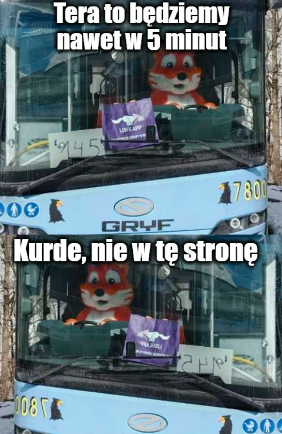 Nie wszyscy bohaterowie noszą peleryny! Zamów Liska teraz, odbierz zakupy za kilkanaście minut 🚲🛵