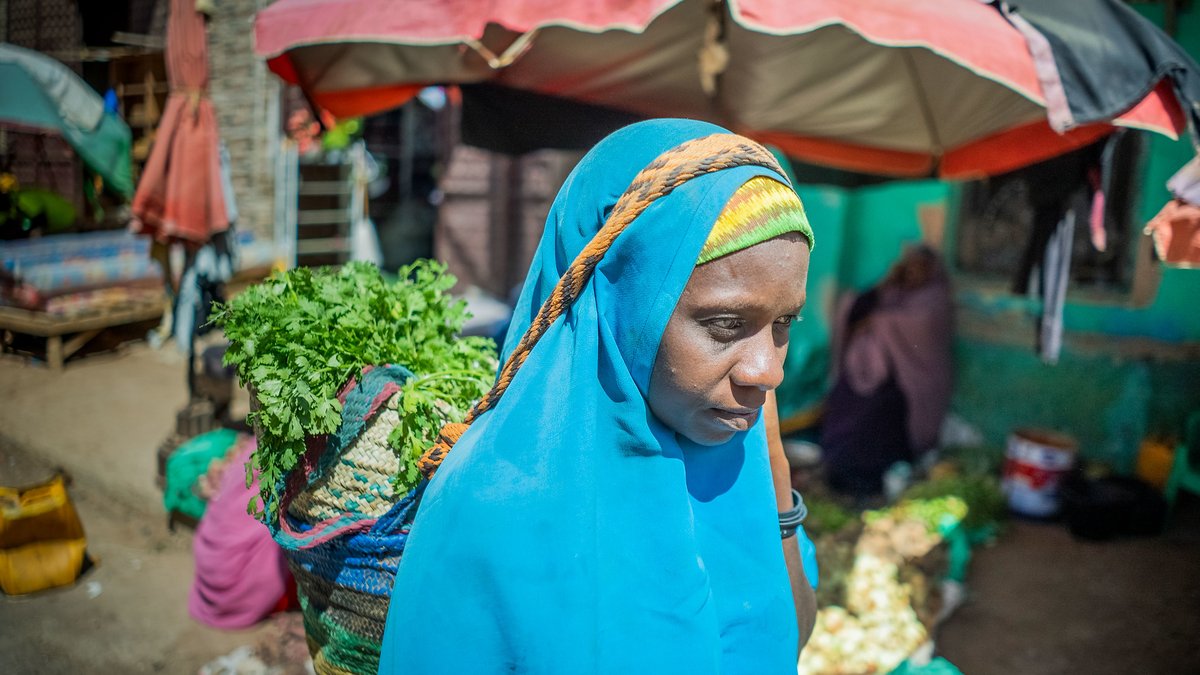 .<a href="/UNDP/">UN Development</a>’s research is helping guide private sector investments in fodder, feed and agricultural inputs to boost IDP + host community prosperity in Baidoa 

#DurableSolutions #SDG1 #SDG2 <a href="/asakookai/">Asako Okai</a> <a href="/GConway_UN/">George Conway</a> <a href="/lucarenda/">Luca Renda</a> 
<a href="/SwissEmbassyKE/">Embassy of Switzerland in Nairobi</a> <a href="/NorwayInSomalia/">Norway in Somalia</a> <a href="/NLinSomalia/">Netherlands in Somalia</a>
