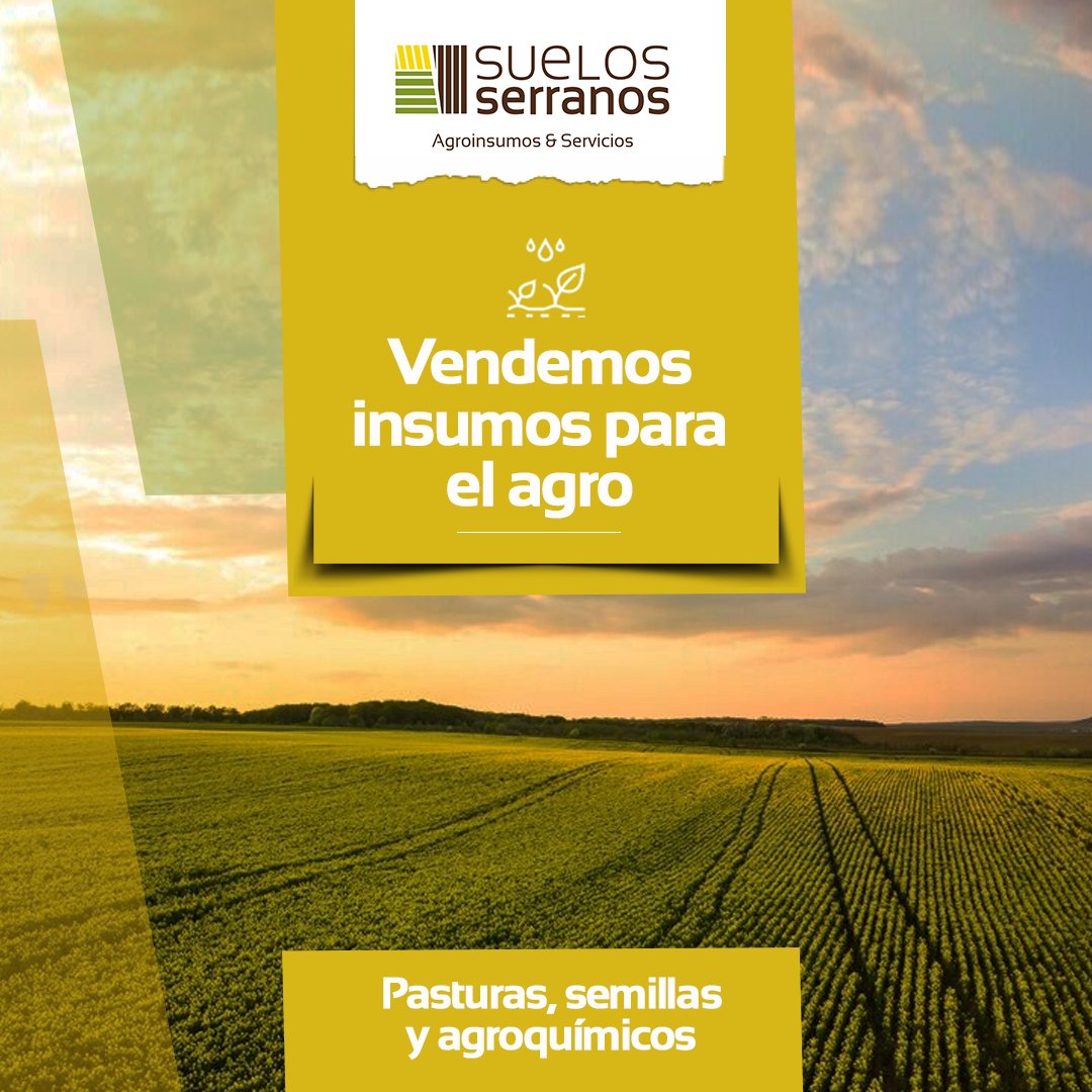 Además de todos nuestros diferentes servicios, nos ocupamos de vender los mejores insumos para tu campo ✅ 🙌

🌻 Pasturas
🌻 Semillas 
🌻 y agroquímicos 

Todo lo que necesita tu campo... ¡Lo tenemos en #SuelosSerranos!

Comunicate con nosotros.