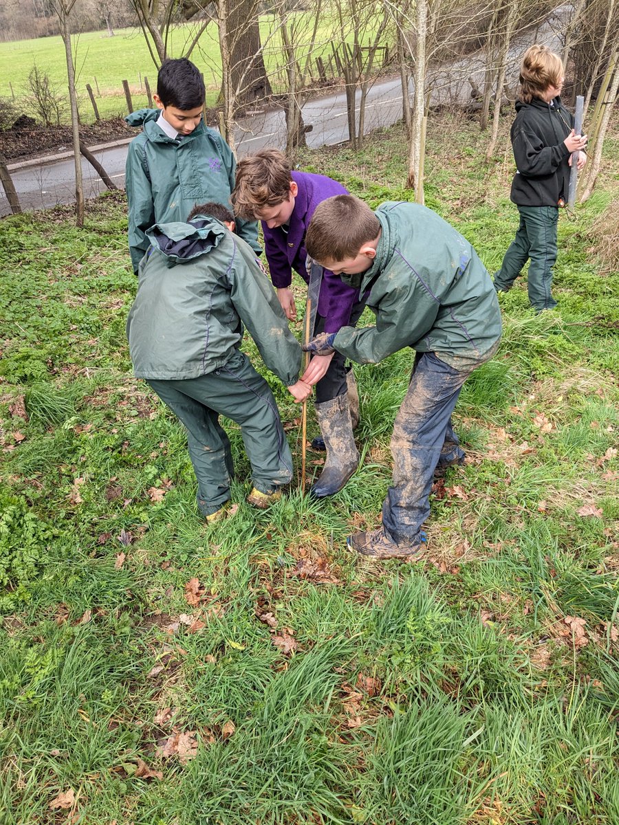 York House English tweet media