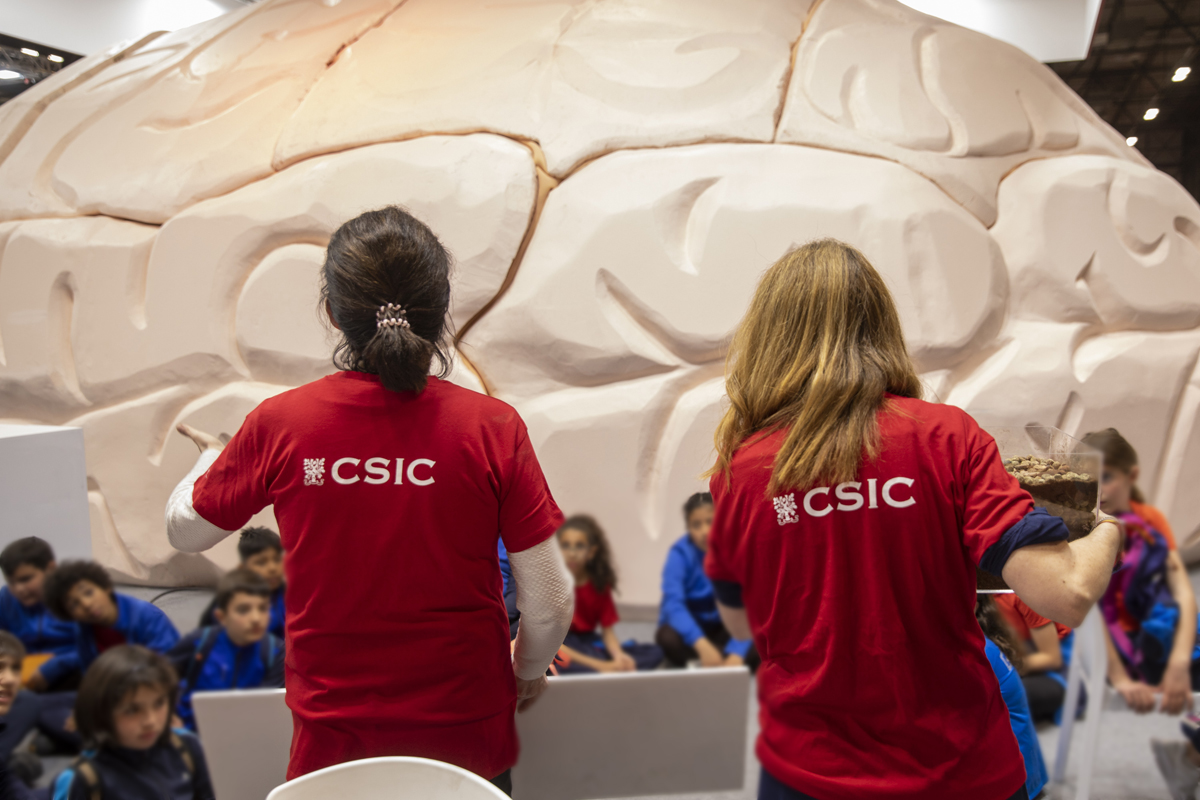 CSICdivulga's tweet photo. 🧠 Cajal y el cerebro, protagonistas de la Feria Madrid es Ciencia 💡 Del 23 al 25 de marzo, el CSIC presenta en @IFEMA un gran cerebro ‘inmersivo’, una exposición con dibujos del nobel español y decenas de actividades guiadas por personal investigador 👉 https://t.co/Ugy6Vp5bk7 https://t.co/bnA8ZCsZYB