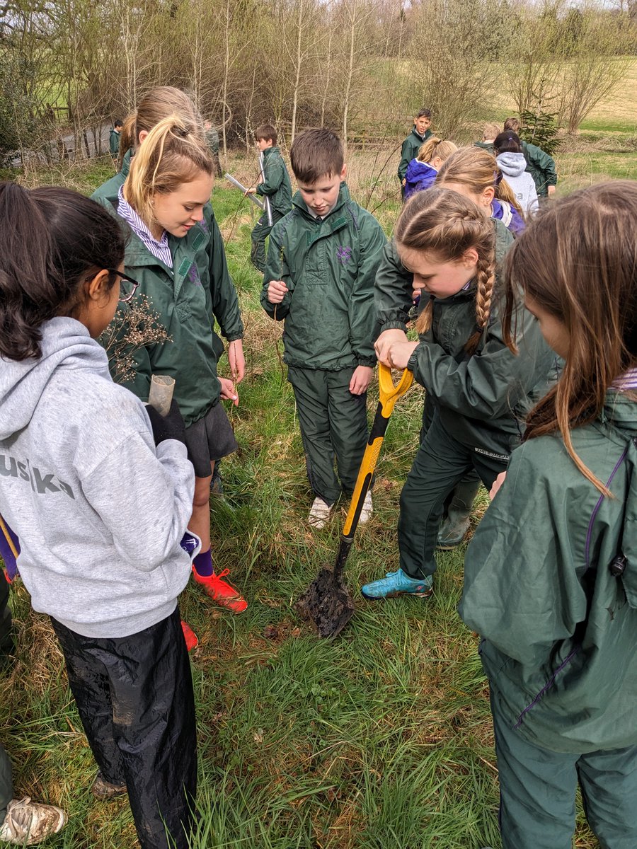 York House English tweet media