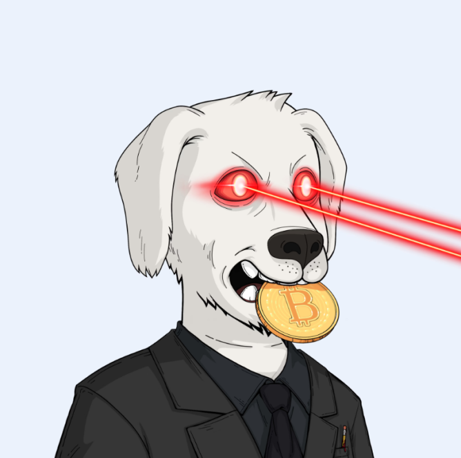 MikeyNFTs❓ tweet media