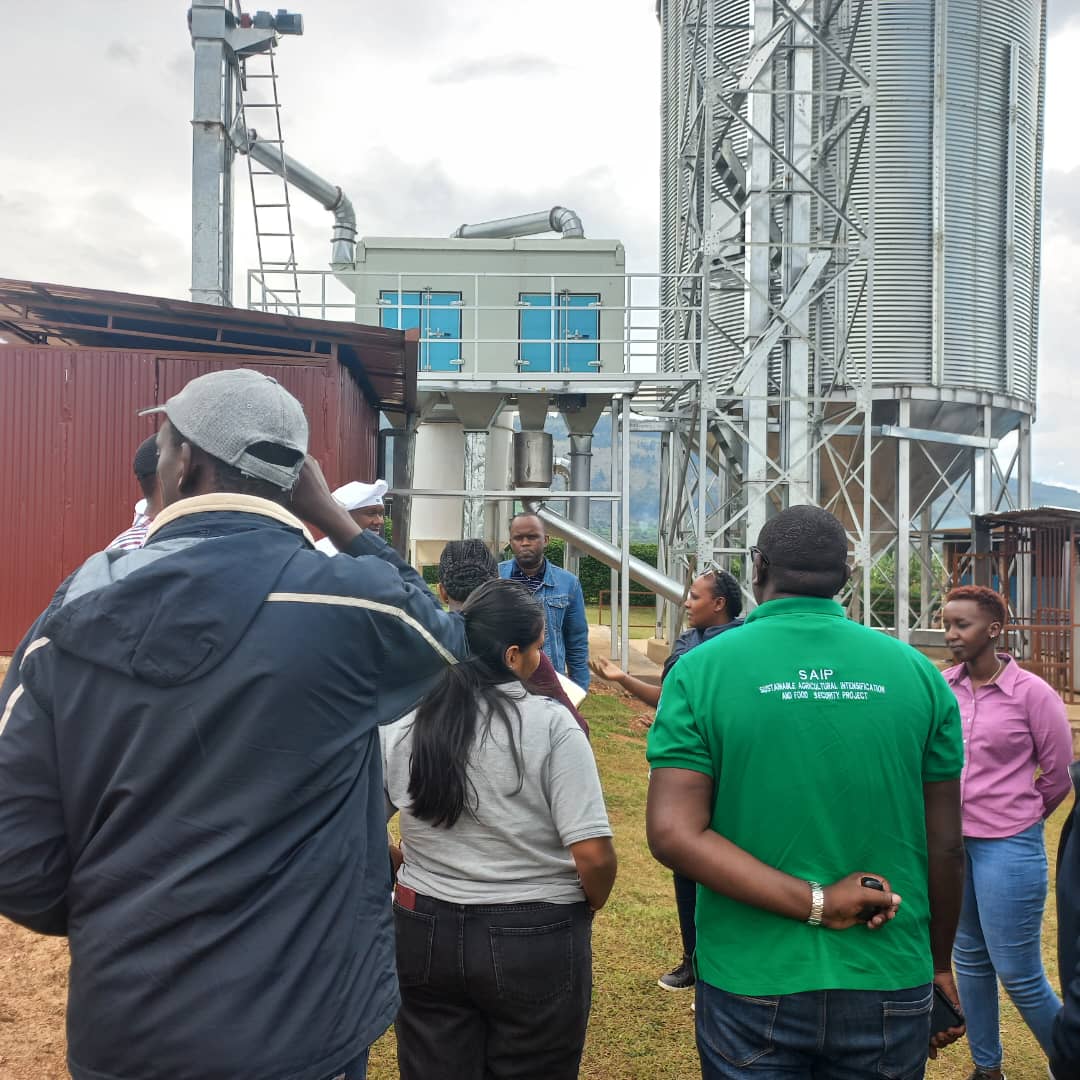 MINAGRI/RAB SPIU WorldBank & KOICA funded projects tweet media