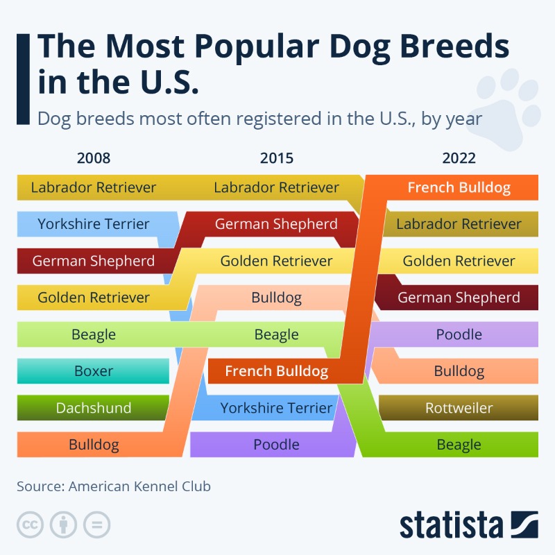 Statista on Twitter "After it had been the most registered dog breed