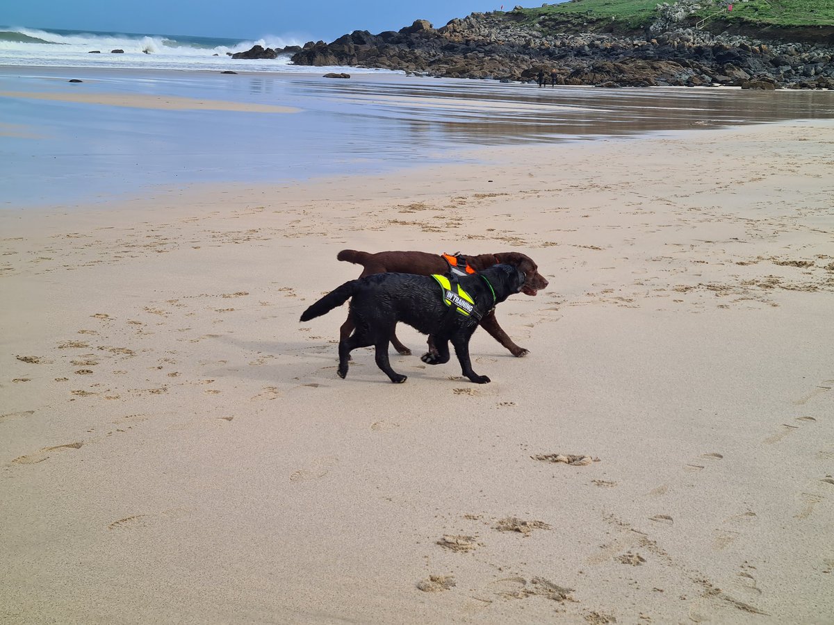 We have been playing crazy dogs on Porthmeor beach