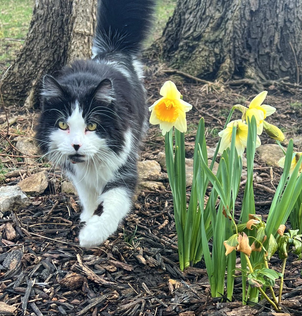 Michael McCrary tweet media