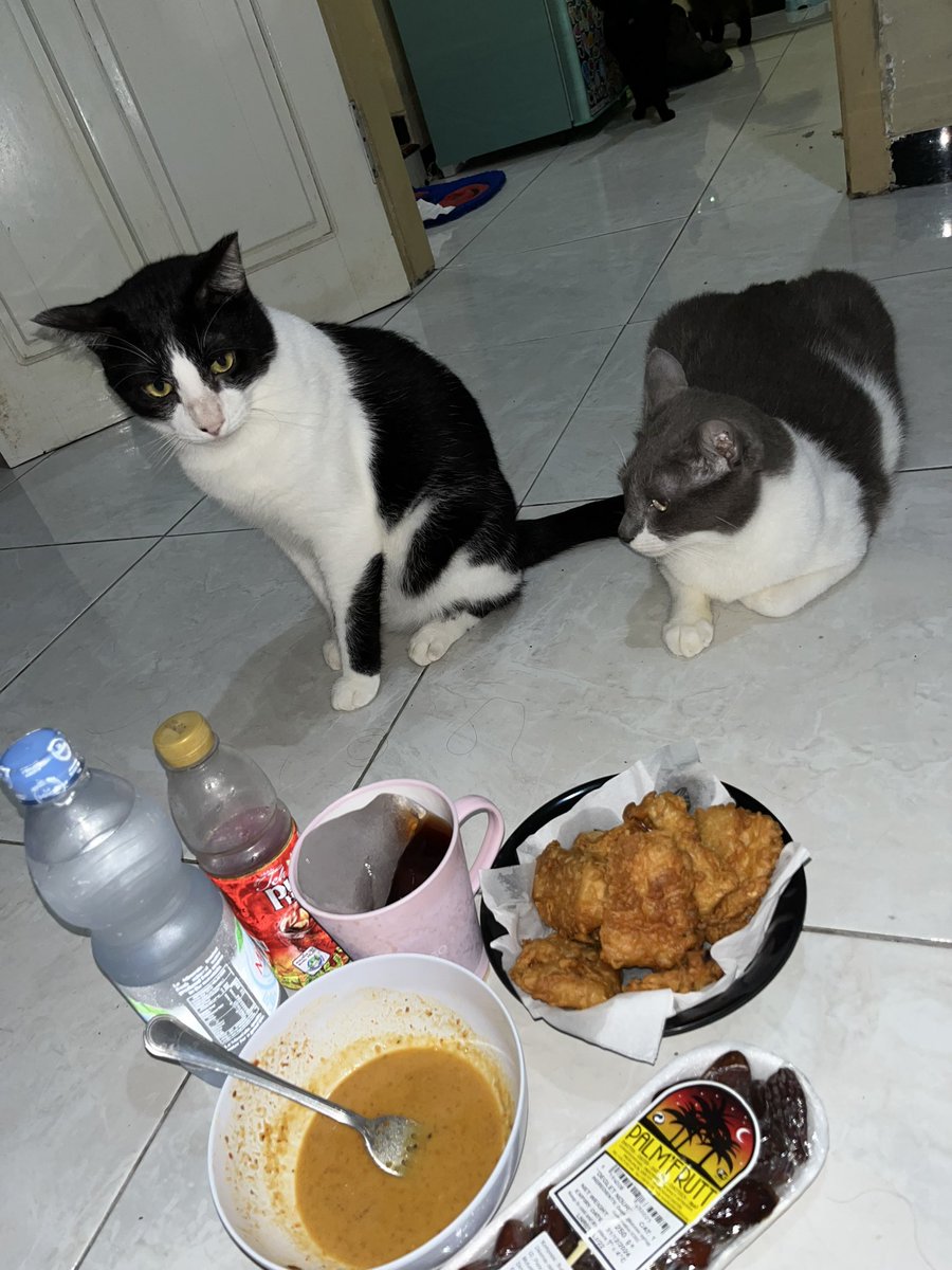 yundapad's tweet photo. Di pikir2 seumur2 emang ngga pernah buka puasa sama keluarga apa lagi sama orang tua wkwkwk pantes aja tiap taun rasanya biasa2 ajaa https://t.co/tlpGtovFep