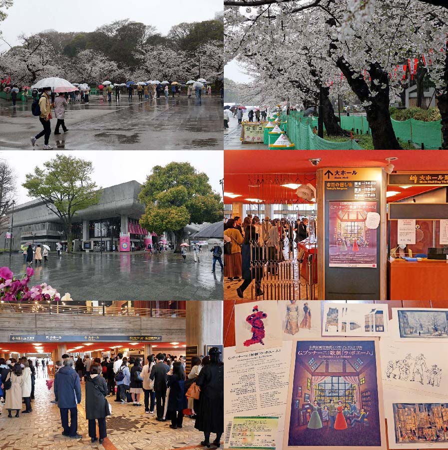 雨の #上野公園 は思っていたより人出が多かった。
#オペラ・プロジェクト の第19弾は「#ラ・ボエーム」。#カーテンコール では #小澤 さんが登場。
風邪ひかないでくださいね～

@OzMusic_Academy #小澤征爾 #小澤征爾音楽塾 #プッチーニ #東京文化会館 #上野恩賜公園 #花見 #桜