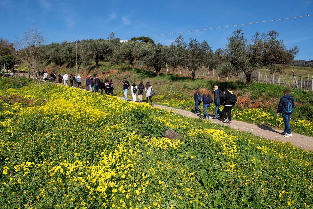 🌿Progetto Pcto con l'istituto alberghiero di Portoferraio, 4 giorni di laboratori esperienziali per conoscere e promuovere l'identità territoriale!
<a href="/isoletoscane/">parcoisoletoscane</a> #redazionenatura #storytelling #pcto #Elba #giovani #partecipazione #insieme #ambiente #consapevolezza #cambiamento