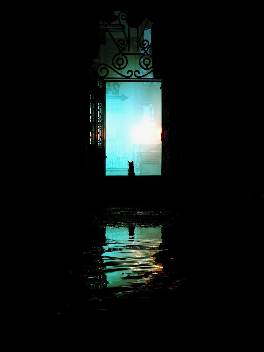 Shinobi 🖱📸 tweet media