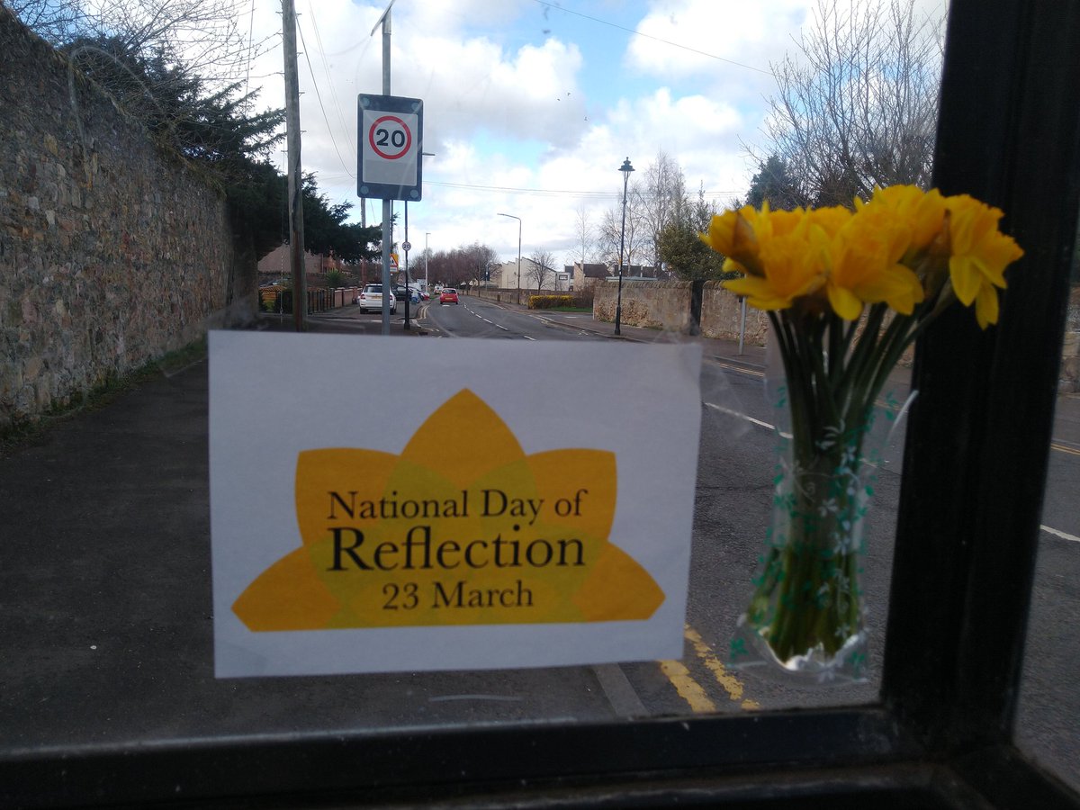 Visitors to the bus stop are enjoying the daffodils placed here to mark #nationaldayofreflection - remembering all those we've lost.