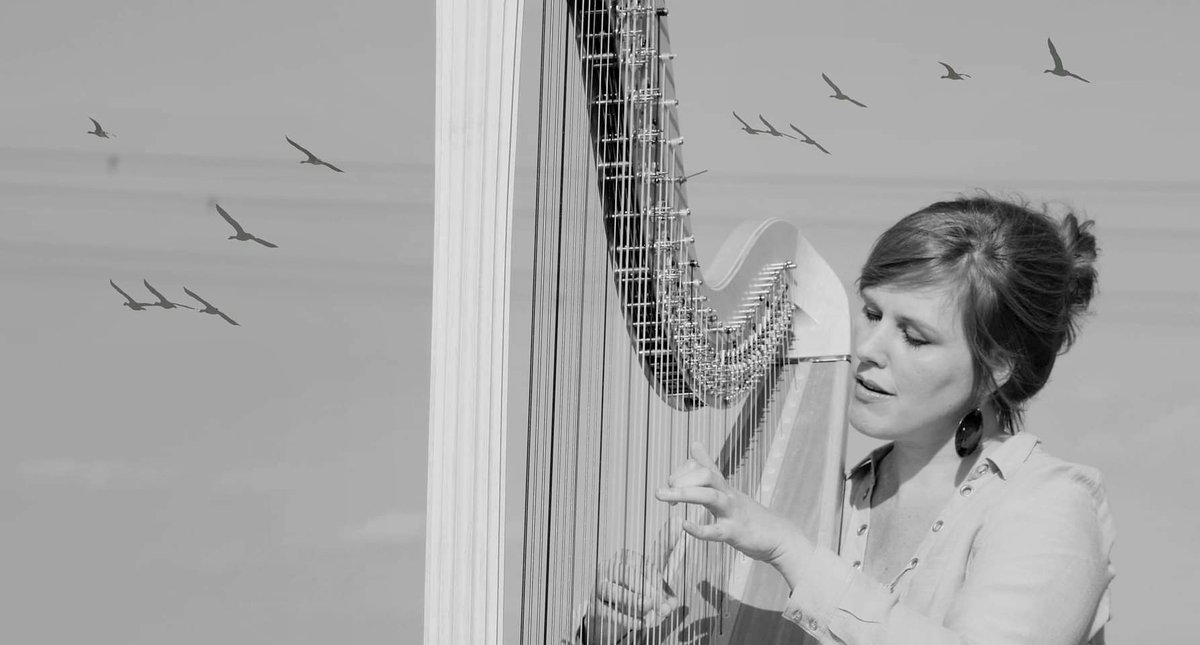 Anne Vanschothorst tweet media