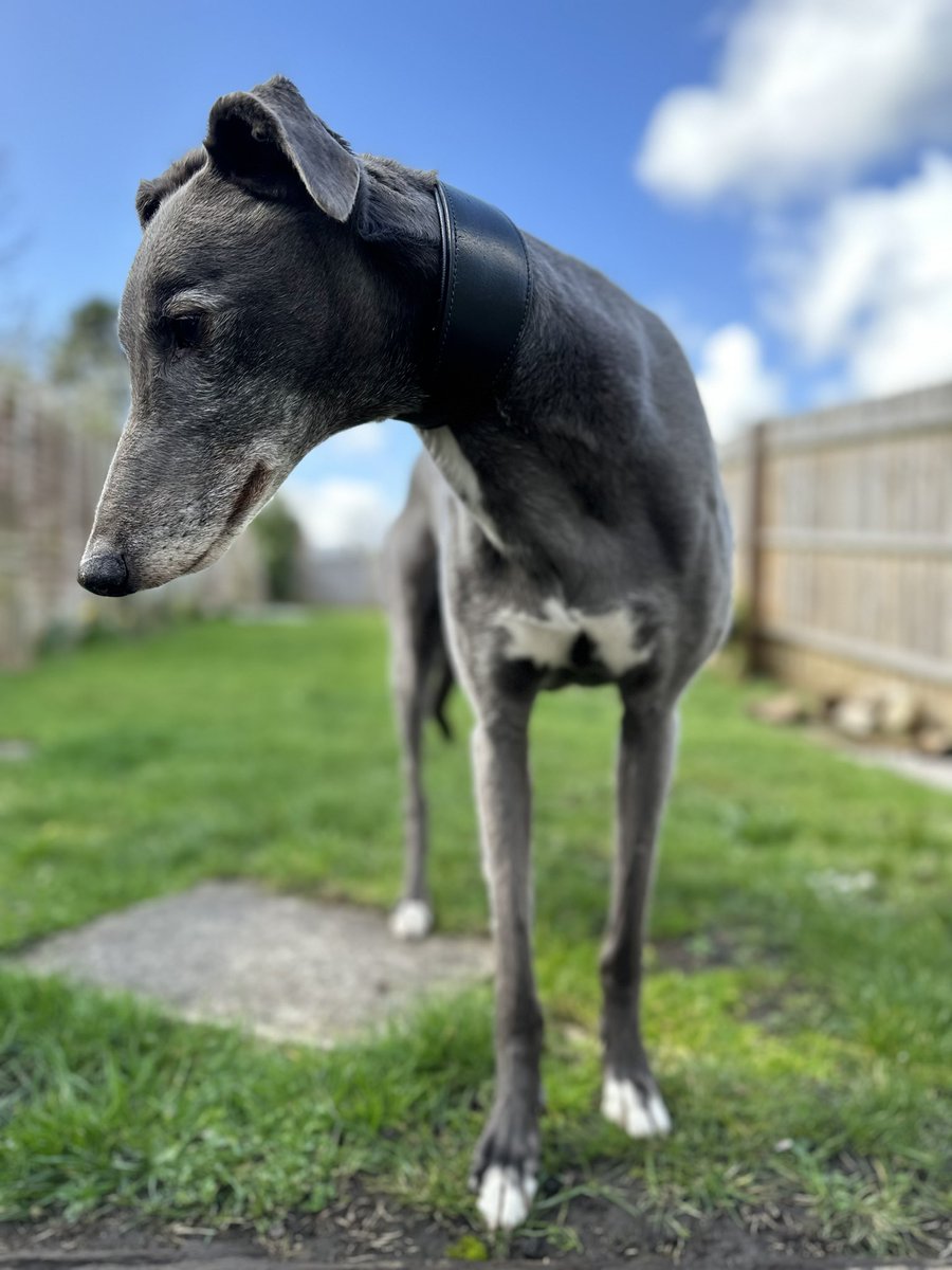 Fergal O'Brien Racing tweet media