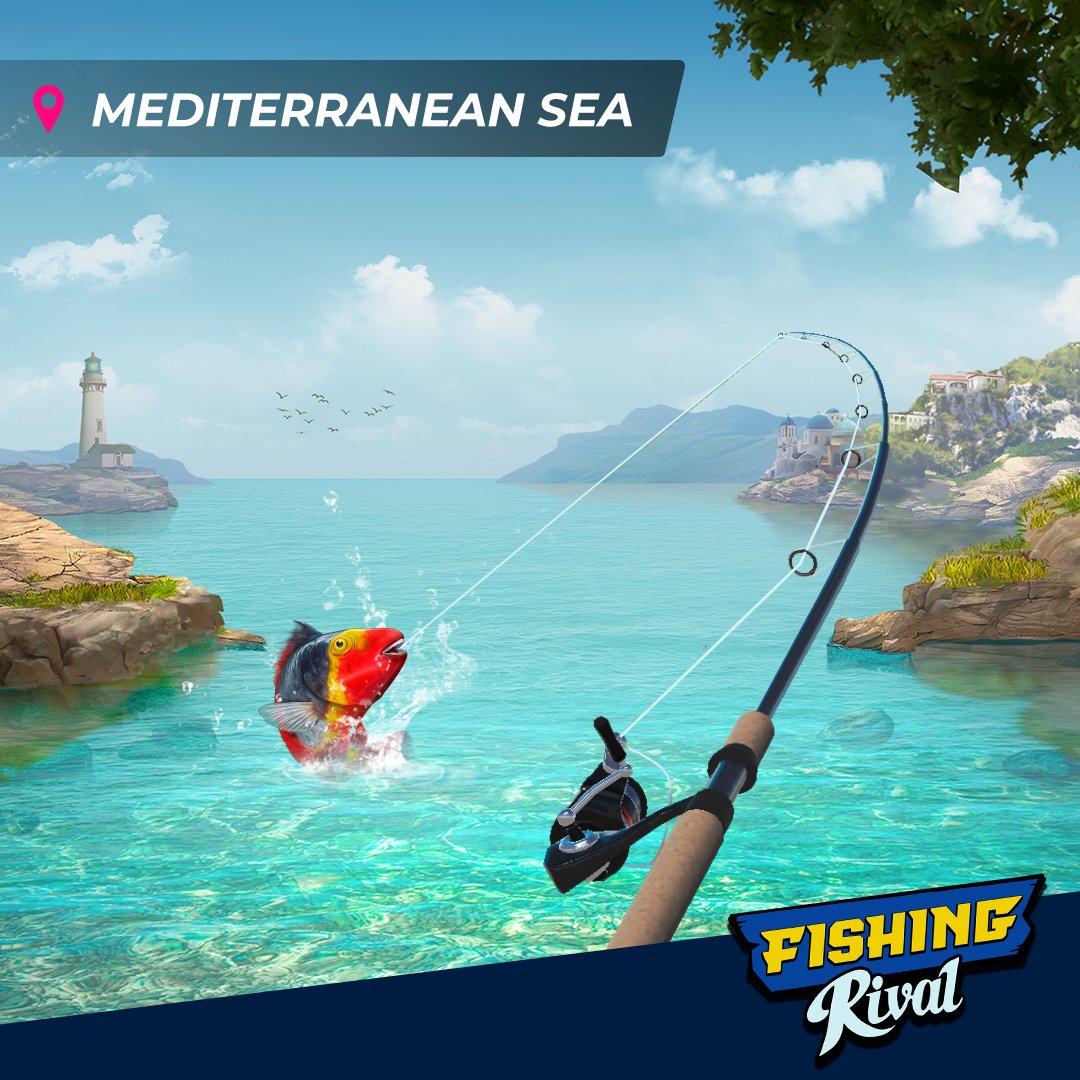 fishing_rival's tweet photo. Looking for a prime fishing location? Look no further than the Mediterranean Sea! 

With its crystal-clear waters and abundant marine life, it's the perfect spot for a relaxing day of fishing. So grab your gear and get ready to reel in some big catches! 🐟 https://t.co/2pE42HORpT