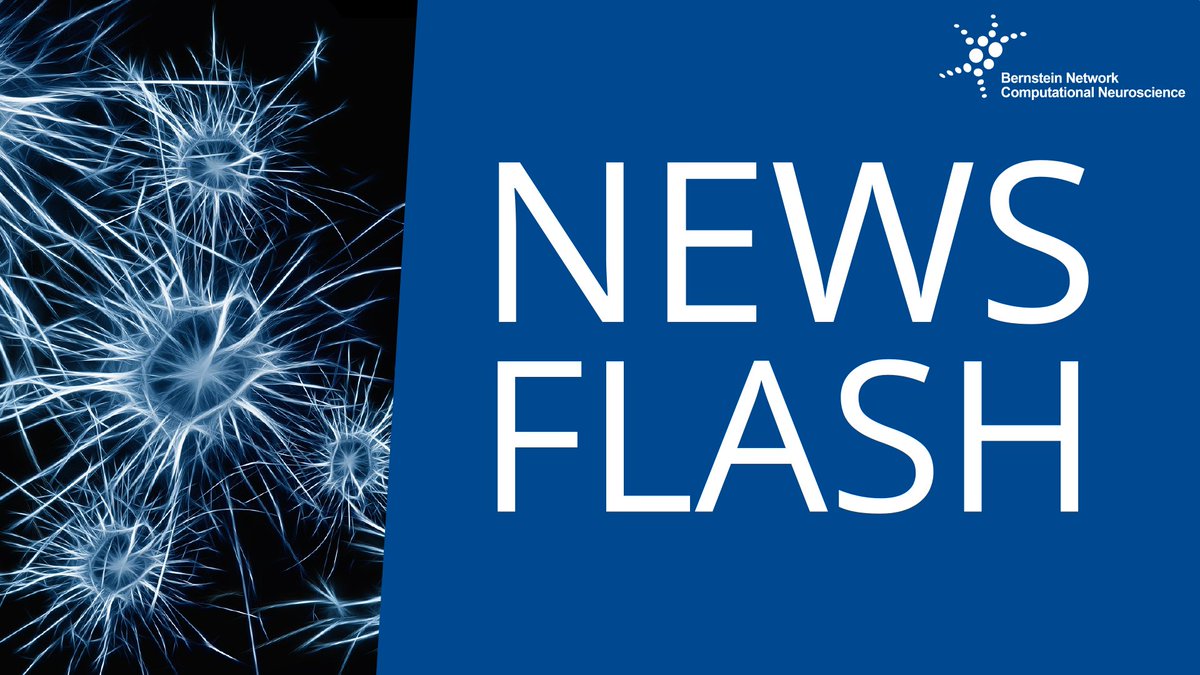 BernsteinNeuro's tweet image. New study by #BernsteinNetwork member Daniel Durstewitz, among others, released! Read the full story here 👉bernstein-network.de/en/newsroom/ne…
#ComputationalNeuroscience @DurstewitzLab
