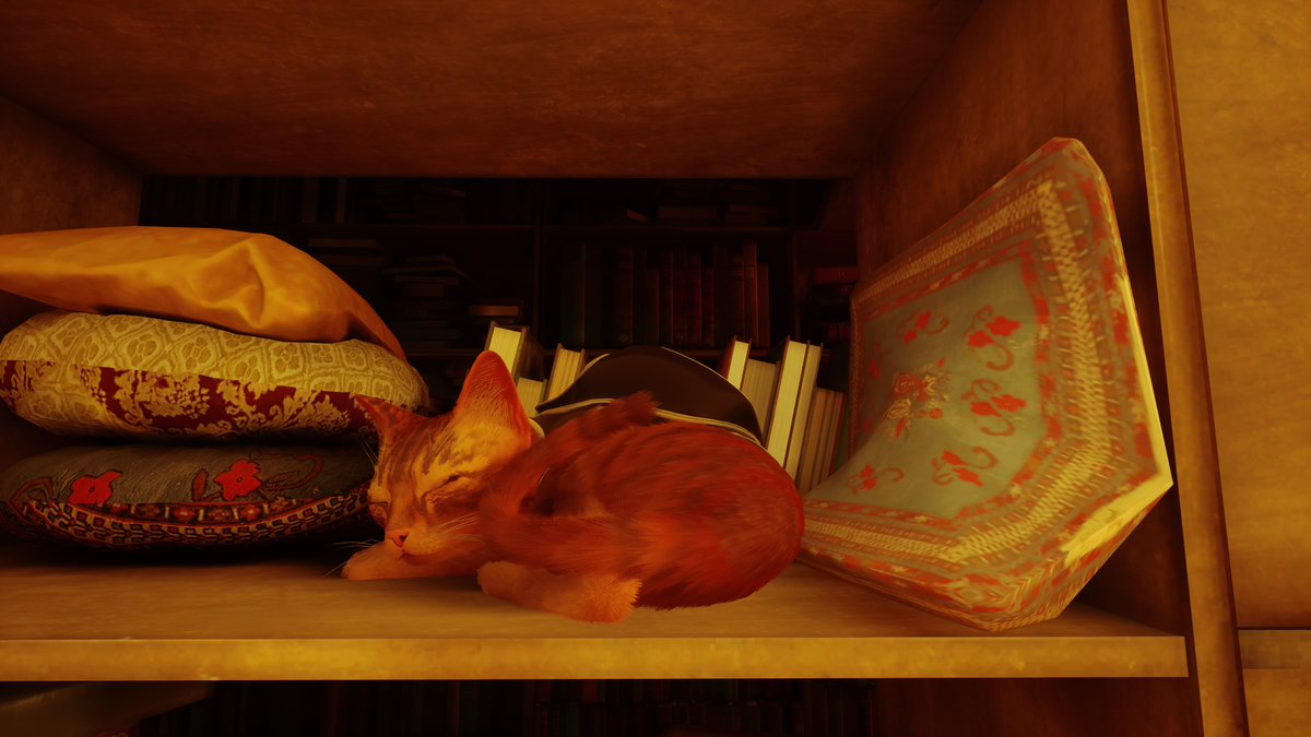MichelleT25x's tweet photo. #PS5Share, #Stray https://t.co/KdByacJC9p
