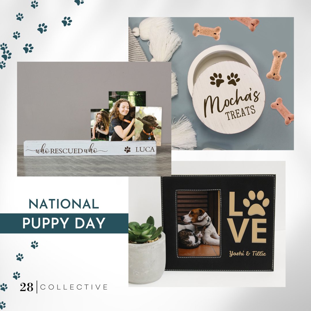 Happy National Puppy Day to All of Our Four-Legged Friends!

#puppy #dogsoftwitter #dogs