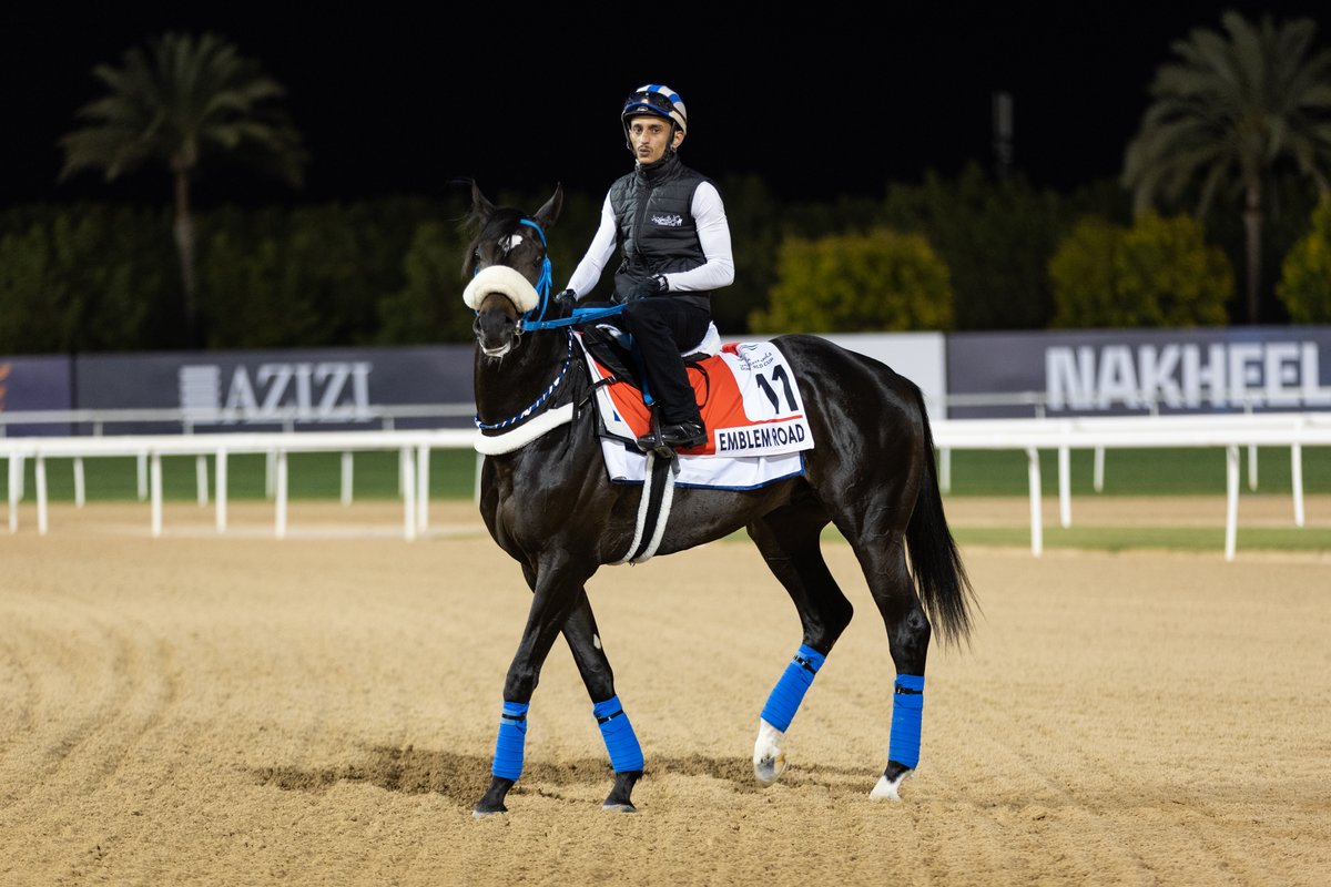 Hi there, EMBLEM ROAD! 👋

Our 2022 G1 Saudi Cup champion was out early as usual this morning for his trackwork <a href="/RacingDubai/">Dubai Racing Club</a>. 

#TheSaudiCup 🤝 #DWC23