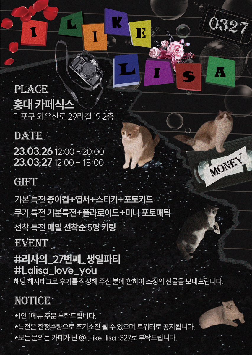 노라리사 tweet media