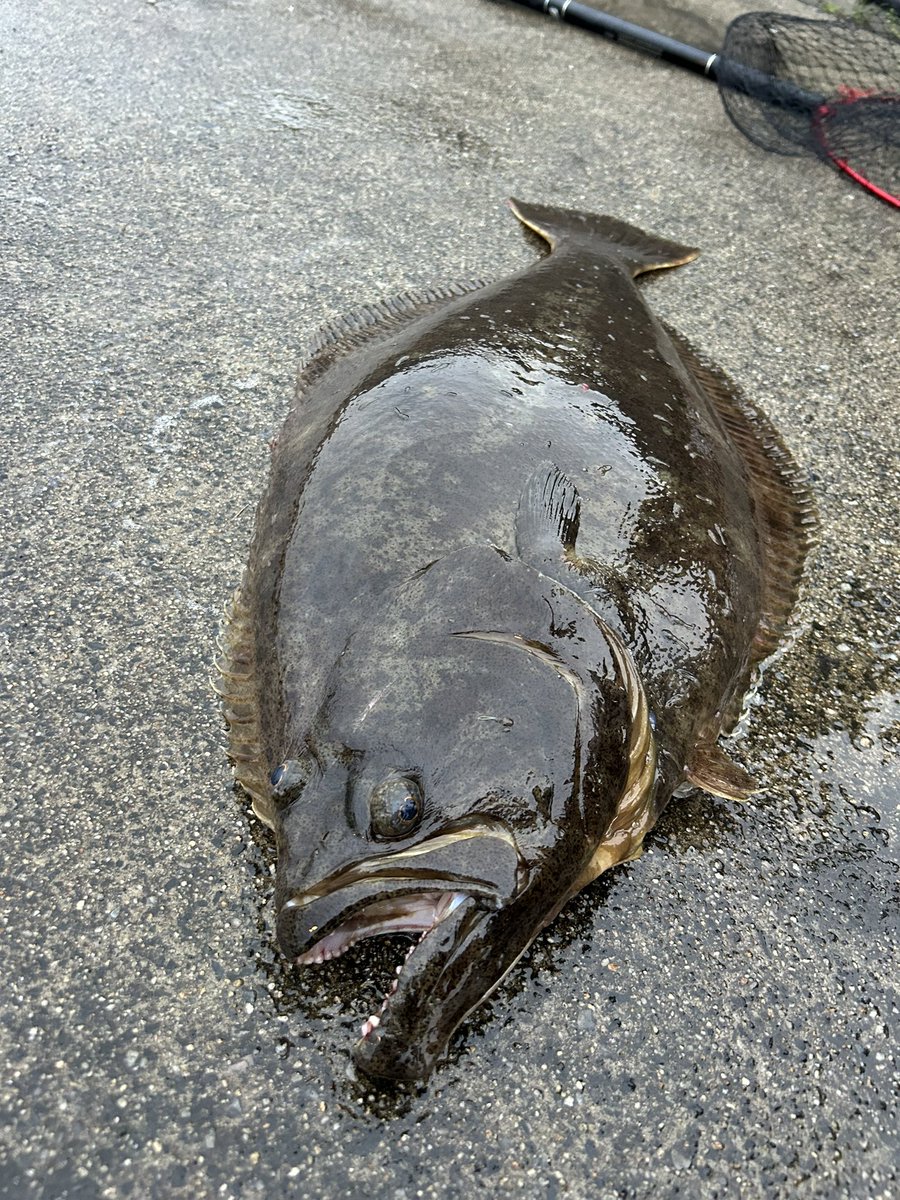 友達がやらかしました笑