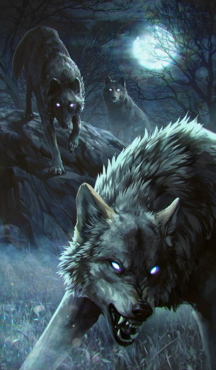 notlucaa's tweet photo. rare pic of @YeeerofDrip @RubenWeissberg and me🥶💯💯🔥🐺🐺 #sigma https://t.co/QqFF59Zvpr